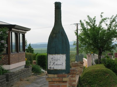 07.JPG