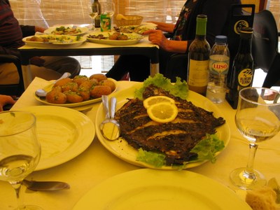 IMG_2384.JPG