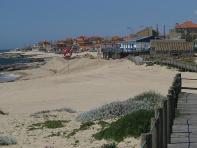 IMG_2392.JPG
