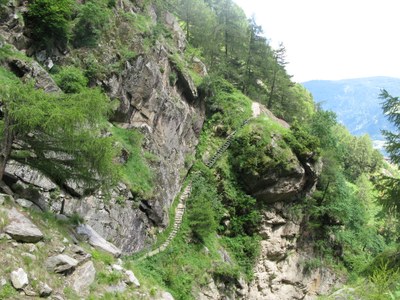 IMG_4252.JPG