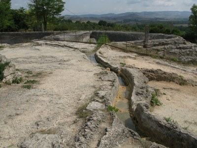 IMG_5352.JPG