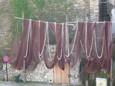 IMG_6718.JPG