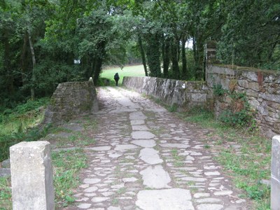 IMG_6973.JPG