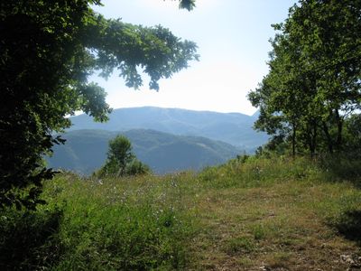 IMG_0770.jpg IMG_0770.jpg